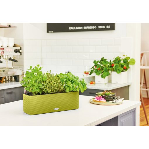 Lechuza CUBE Color Triple All-in-One Set Pisztácia