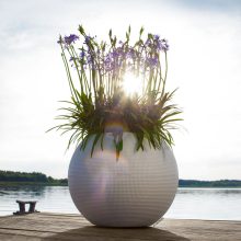 Lechuza Puro Color 50 Sand Brown