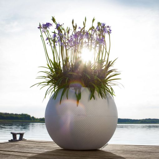 Lechuza Puro Color 50 Sand Brown