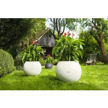 Lechuza Puro Color 50 Sand Brown