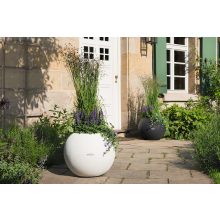 Lechuza Puro Color 50 Sand Brown