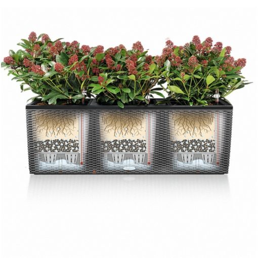 Lechuza TRIO Cottage 30 kiemelhető belsővel és önöntöző készlettel: Light Gray