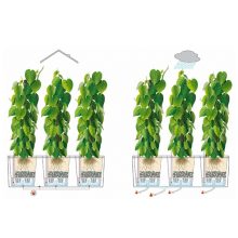 Lechuza TRIO Cottage 30 kiemelhető belsővel és önöntöző készlettel: Light Gray