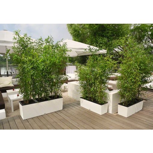 Lechuza TRIO Cottage 30 kiemelhető belsővel és önöntöző készlettel: Light Gray