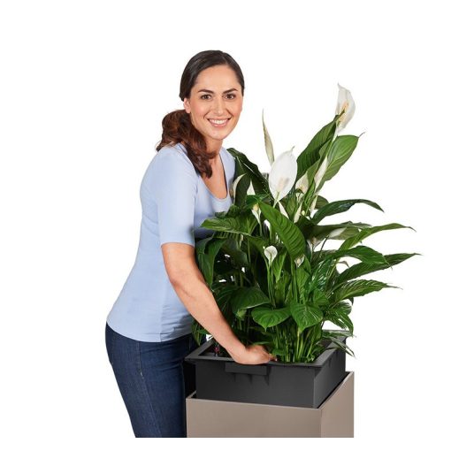 Lechuza CANTO oszlop premium 40 All-in-One Set: Ezüst