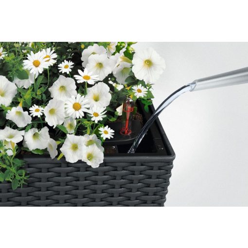 Lechuza BALCONERA Cottage 80 önöntöző készlettel: Light Gray