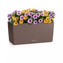 Lechuza Balconera Color 40 Szerecsendio