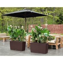 Lechuza Cararo Sett: Eszpresszo