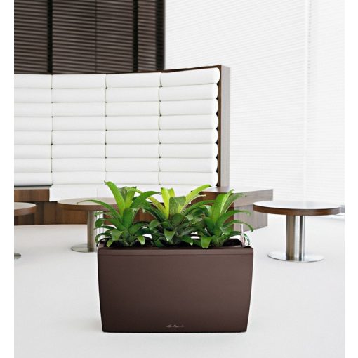 Lechuza Cararo Sett: Eszpresszo