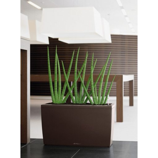 Lechuza Cararo Sett: Eszpresszo