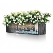 Lechuza Balconera Color 80 kiemelhető belsővel és önöntöző készlettel Palaszürke