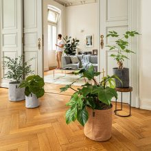 Lechuza TRENDCOVER Cork light natural: 32x33 cm