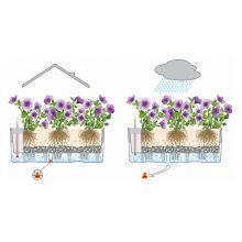 Lechuza BALCONERA Cottage 50 önöntöző készlettel: Graphite