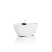 Lechuza Navio Color 10