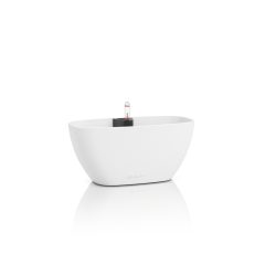 Lechuza Navio Color 10