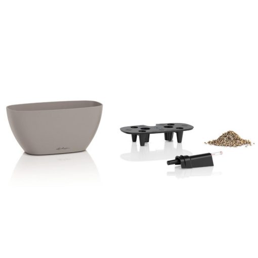 Lechuza Navio Color 10