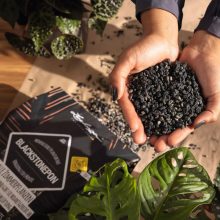 Lechuza Blackstone Pon 12 liter