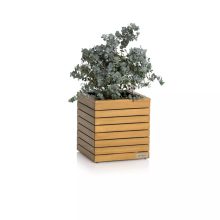 Lechuza PALO Natural Wood 35 low eucalyptus wood 35x37 cm