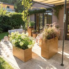 Lechuza PALO Natural Wood 35 low eucalyptus wood 35x37 cm