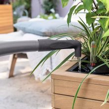 Lechuza PALO Natural Wood 35 high eucalyptus wood 35x59 cm