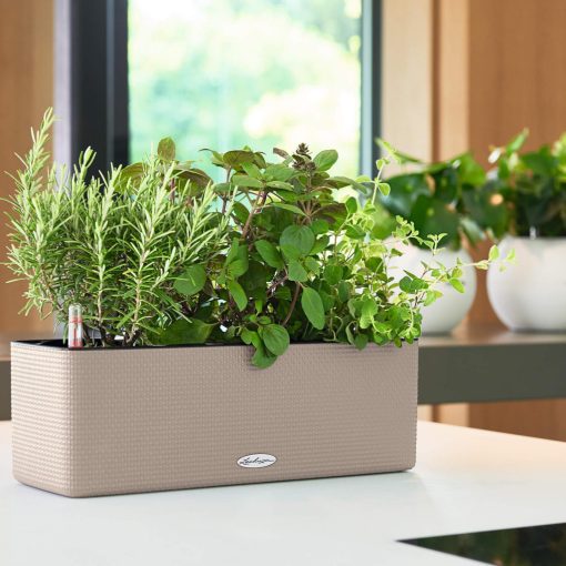 Lechuza CUBE Color Triple All-in-One Set: Sand Brown