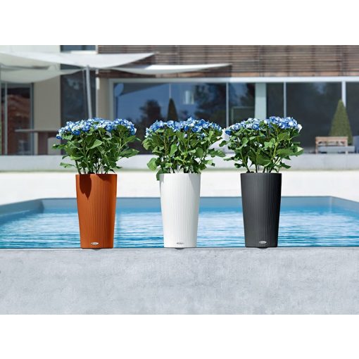 Lechuza CILINDRO Color All-in-One Set: Ø32x56 cm Fehér