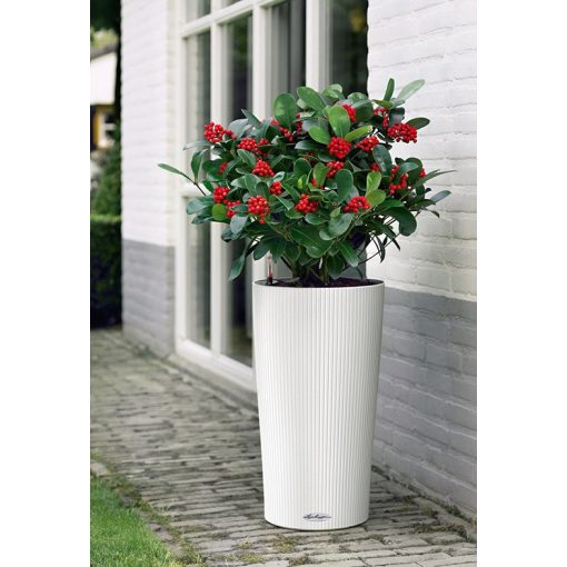 Lechuza CILINDRO Color All-in-One Set: Ø23x41 cm Fehér