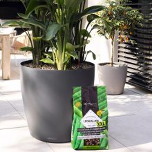 LECHUZA-PON XXL Plant Substrate 25 liter 