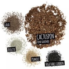 Lechuza Cactuspon 3 liter