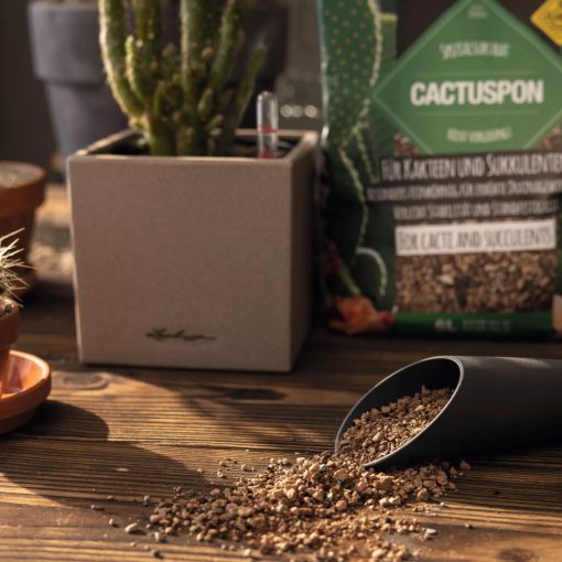 Lechuza Cactuspon 3 liter