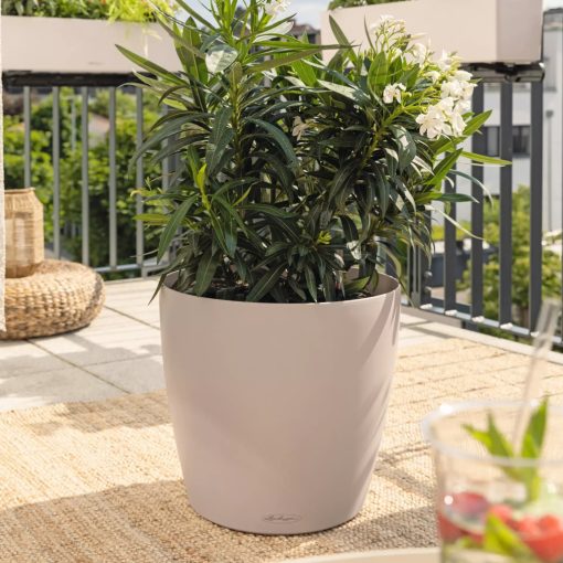 Lechuza Classico Color 50 Matt Önöntöző készlettel: Sand Brown 