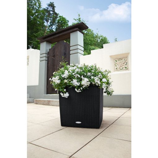 Lechuza CUBE Cottage 30 önöntöző készlettel: Gránit