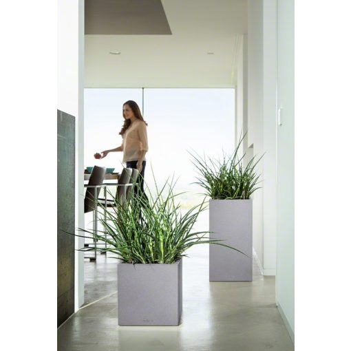 Lechuza CANTO Stone All-in-One Set: 30x30x30 cm Szürke