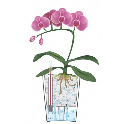 Lechuza Mini Deltini: Fehér