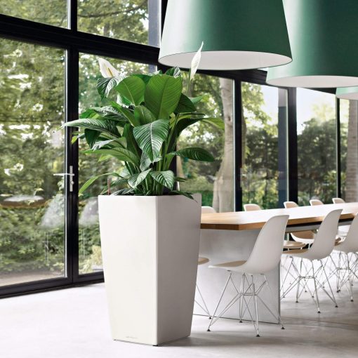 Lechuza Cubico 30 Premium-All-in-One Set: Fehér