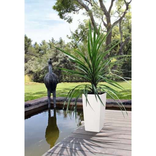 Lechuza Cubico Color kiemelhető belsővel és önöntözővel-All-in-One Set: 30x30x56 cm Szerecsendió