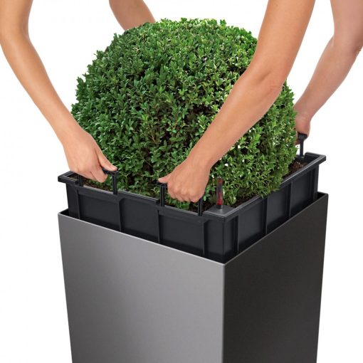 Lechuza Cube 50 Premium: Skarlát