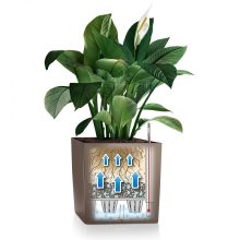 Lechuza Cube 50 Premium: Skarlát