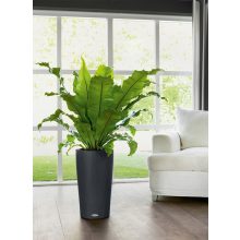 Lechuza CILINDRO Color All-in-One Set: Ø23x41 cm Palaszürke