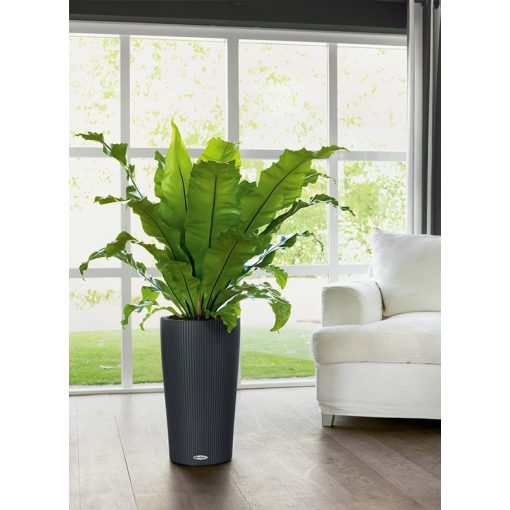 Lechuza CILINDRO Color All-in-One Set: Ø23x41 cm Palaszürke