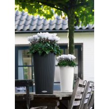 Lechuza CILINDRO Color All-in-One Set: Ø23x41 cm Palaszürke