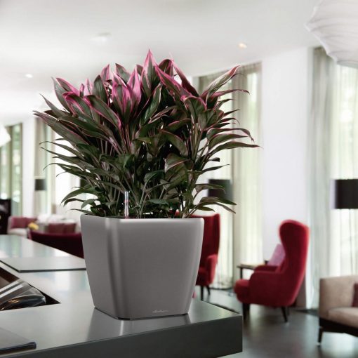 Lechuza Quadro Premium LS 50: Antracit