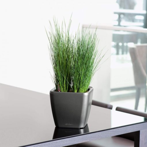 Lechuza Quadro Premium LS 50: Antracit