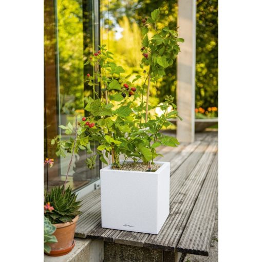 Lechuza CANTO Stone 14 Quarz Fehér 