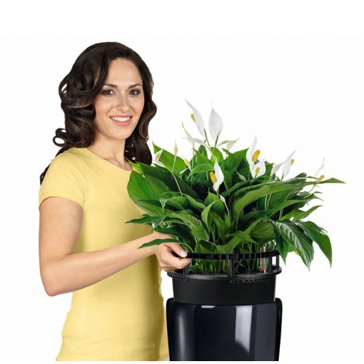 Lechuza Rondo 32-All-in-One Set: Fekete