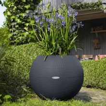 Lechuza Puro Color 50 Palaszürke