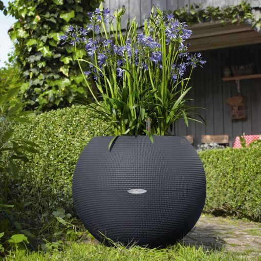 Lechuza Puro Color 50 Palaszürke