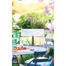 Lechuza CUBE Color Triple All-in-One Set: Fehér