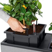 Lechuza TRIO Stone 40 önöntöző készlettel Graphite 