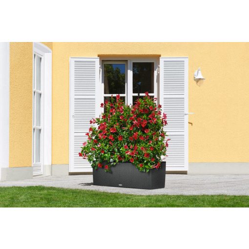 Lechuza TRIO Cottage 40 kiemelhető belsővel és önöntöző készlettel:  Mokka